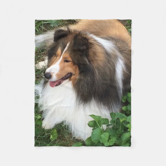 Shetland Sheepdog Blanket Fleece Deken (Voorkant)