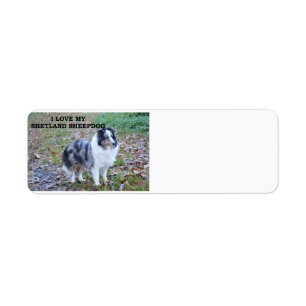 shetland-sheepdog-blue, een witte bruine liefde me etiket