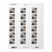 Shetland Sheepdog Blue Merle Eyes Etiket (Full Sheet)