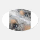 Shetland Sheepdog Blue Merle Eyes Ovale Sticker (Voorkant)