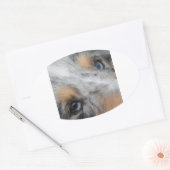 Shetland Sheepdog Blue Merle Eyes Ovale Sticker (Envelop)
