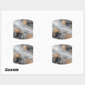Shetland Sheepdog Blue Merle Eyes Ovale Sticker (Vel)