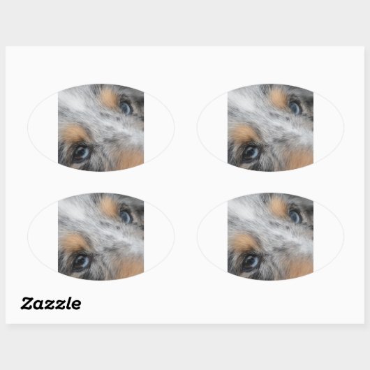 Shetland Sheepdog Blue Merle Eyes Ovale Sticker (Vel)