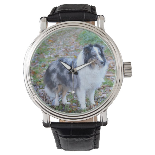 Shetland Sheepdog Blue Merle Horloge (Voorkant)