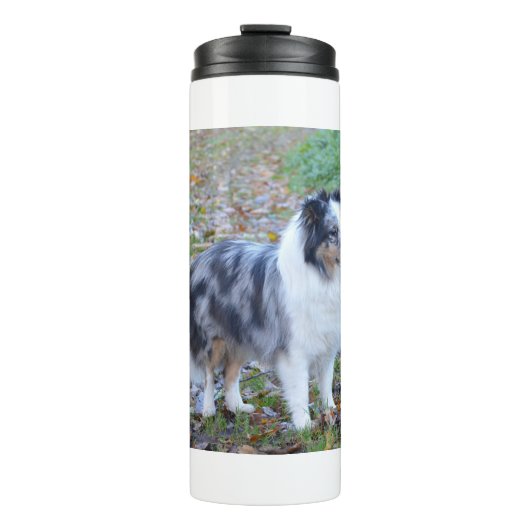 Shetland Sheepdog Blue Merle Thermosbeker (Voorkant)