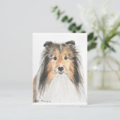 Shetland Sheepdog Briefkaart (Staand voorkant)