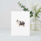 Shetland Sheepdog Briefkaart (Staand voorkant)