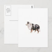 Shetland Sheepdog Briefkaart (Voorkant / Achterkant)