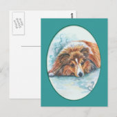 Shetland Sheepdog Briefkaarten (Voorkant / Achterkant)