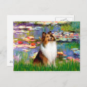 Shetland Sheepdog (Bz) - Lilies 2 Briefkaart (Voorkant / Achterkant)