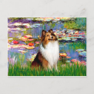 Shetland Sheepdog (Bz) - Lilies 2 Briefkaart