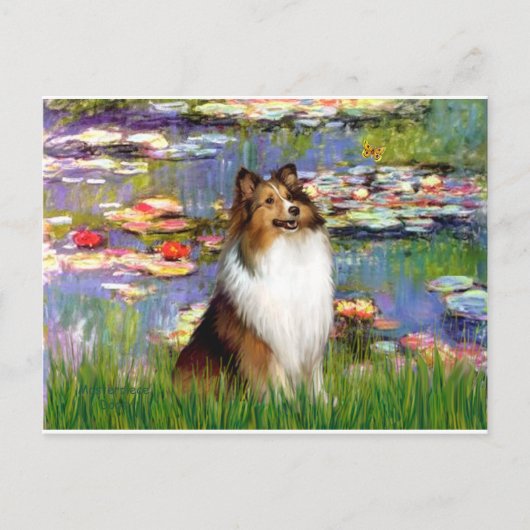 Shetland Sheepdog (Bz) - Lilies 2 Briefkaart (Voorkant)