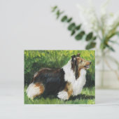 Shetland Sheepdog Dog Art Briefkaart (Staand voorkant)
