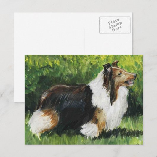 Shetland Sheepdog Dog Art Briefkaart (Voorkant / Achterkant)