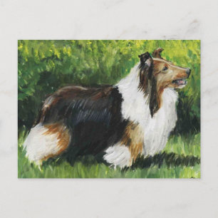 Shetland Sheepdog Dog Art Briefkaart