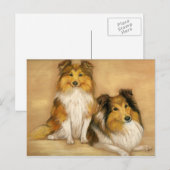 Shetland Sheepdog Dog Art Briefkaart (Voorkant / Achterkant)