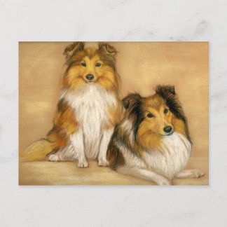 Shetland Sheepdog Dog Art Briefkaart