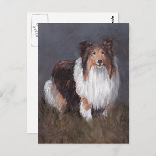 Shetland Sheepdog Dog Art Post Card Briefkaart (Voorkant / Achterkant)