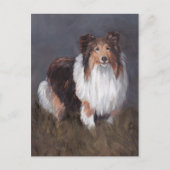 Shetland Sheepdog Dog Art Post Card Briefkaart (Voorkant)