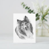 Shetland Sheepdog Drawing by Glenda S. Harlan Briefkaart (Staand voorkant)