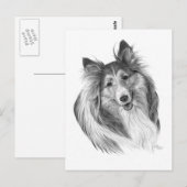 Shetland Sheepdog Drawing by Glenda S. Harlan Briefkaart (Voorkant / Achterkant)
