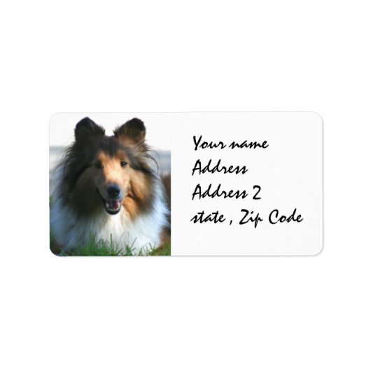 Shetland Sheepdog Etiket (Voorkant)