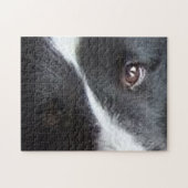 Shetland Sheepdog Eyes Legpuzzel (Horizontaal)