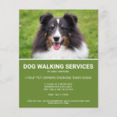 Shetland Sheepdog Foto Green Dog Walker Sjabloon Flyer (Voorkant)