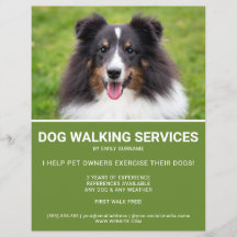 Shetland Sheepdog Foto Green Dog Walker Sjabloon
