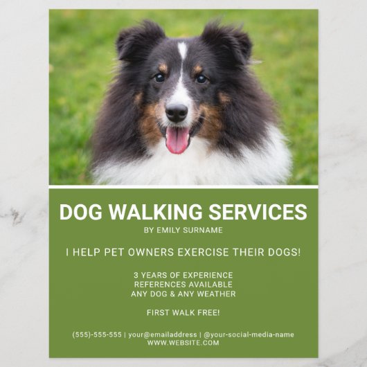 Shetland Sheepdog Foto Green Dog Walker Sjabloon Flyer (Voorkant)