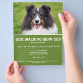 Shetland Sheepdog Foto Green Dog Walker Sjabloon Flyer (Hand)