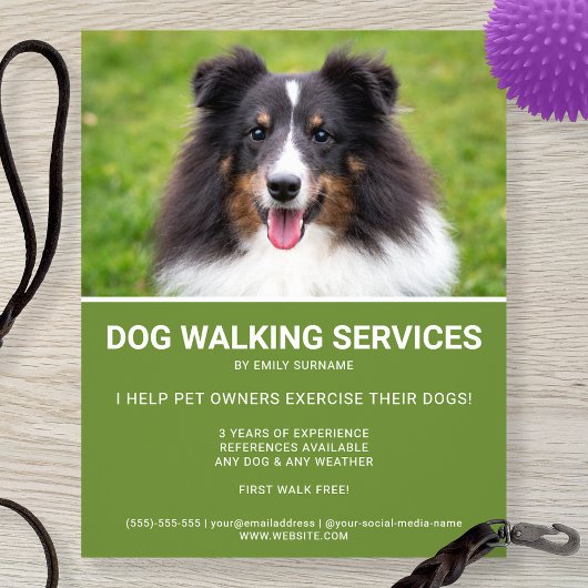 Shetland Sheepdog Foto Green Dog Walker Sjabloon Flyer