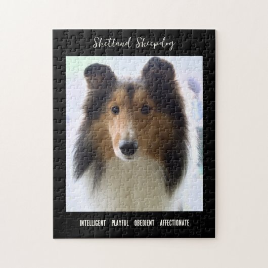 Shetland Sheepdog Foto Hondenras Legpuzzel (Verticaal)