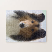 Shetland Sheepdog Foto Jigzaag Puzzle Legpuzzel (Horizontaal)