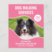 Shetland Sheepdog Foto - Pink Dog Walking Service Flyer (Voorkant)