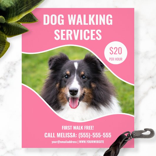 Shetland Sheepdog Foto - Pink Dog Walking Service Flyer