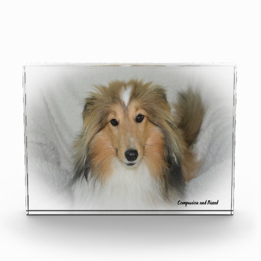 Shetland Sheepdog. Fotoblokken (Voorkant)