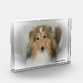 Shetland Sheepdog. Fotoblokken (Links)