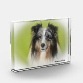 Shetland Sheepdog. Fotoblokken (Links)
