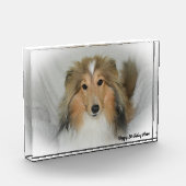 Shetland Sheepdog Fotoblokken (Links)