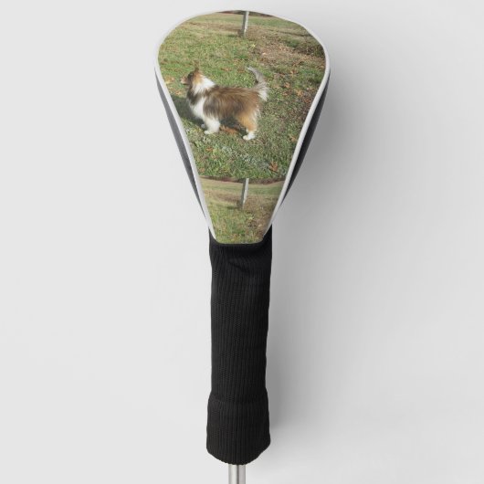 shetland sheepdog full 2 golfheadcover (Voorkant)