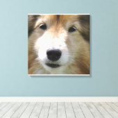Shetland Sheepdog Gezicht Canvas Afdruk (Insitu (Houten vloer))