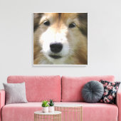 Shetland Sheepdog Gezicht Canvas Afdruk (Insitu (Woonkamer))