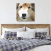 Shetland Sheepdog Gezicht Canvas Afdruk (Insitu (Slaapkamer))