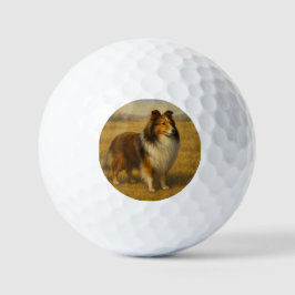 Shetland Sheepdog Golfballen