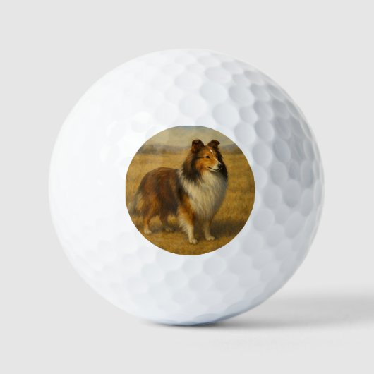 Shetland Sheepdog Golfballen (Voorkant)