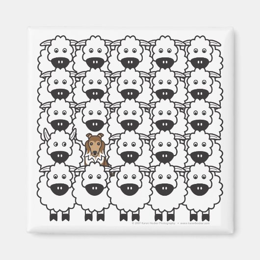 Shetland Sheepdog in de schapenmagneet Magneet (Voorkant)