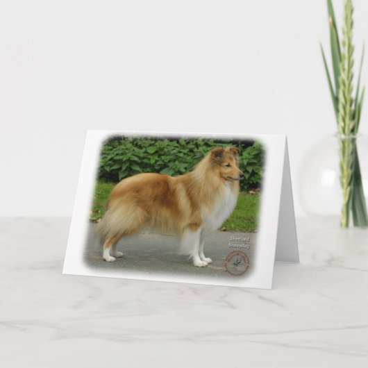 Shetland Sheepdog Kaart (Voorkant)