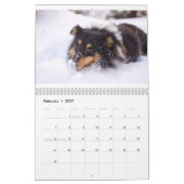 Shetland Sheepdog Kalender (Feb 2027)