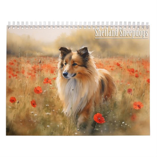 Shetland Sheepdog Kalender, elk jaar Kalender (Hoes)